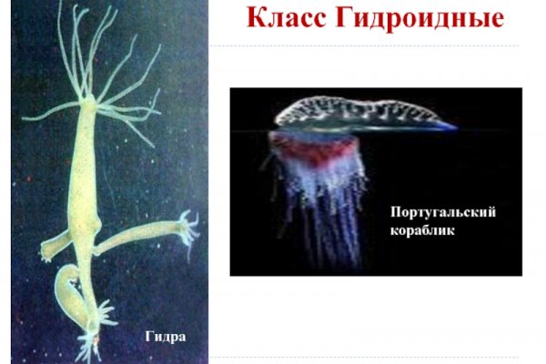 Кракен ссылка настоящая