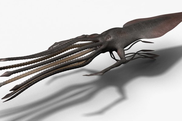 Kraken tor link