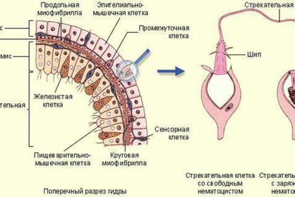 Kraken рабочая ссылка onion