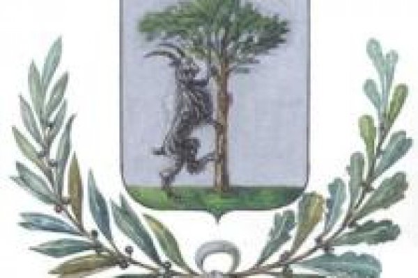 Через какой браузер зайти на кракен