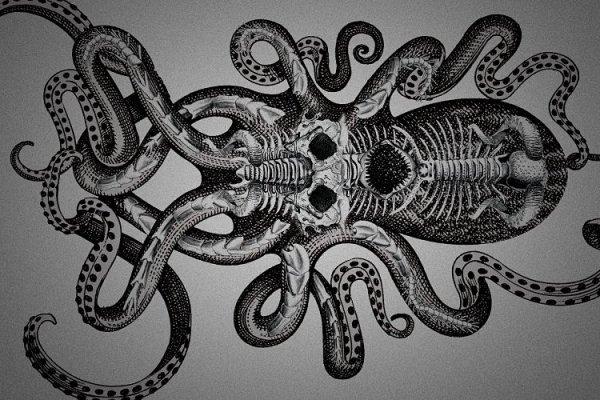 Кракен онион kraken dark link