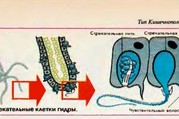 Рабочие ссылки на кракен 2025